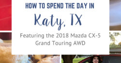 how-to-spend-day-katy-tx